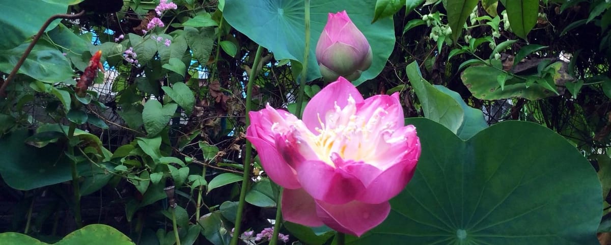 อะไรจริงกว่ากัน