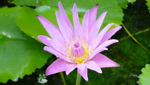 ค่าของชีวิต