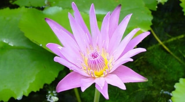 อันสืบเนื่องจาก "ค่าของชีวิต"