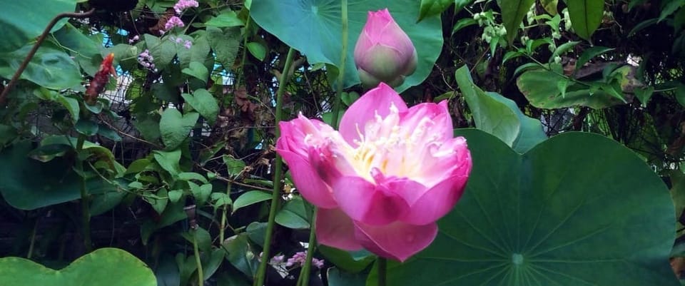 ทำหนังสือขึ้นมาบูชาพระ