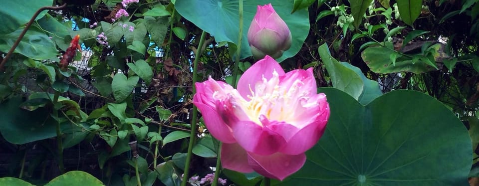 ความมั่งคั่ง