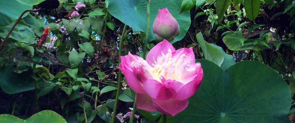 เบ้าหลอมสังคมไทย