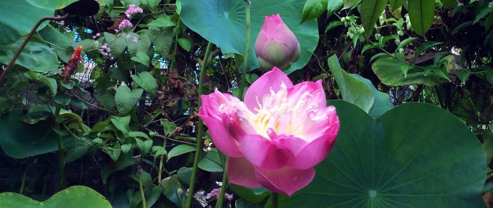 กงล้อแห่งความยุติธรรม