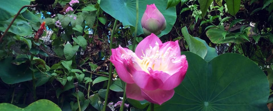 แม้การเมืองเป็นเรื่องเลือกข้าง