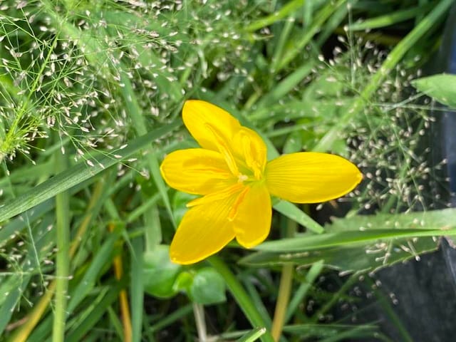 บทเพลงแห่งสัมมาทิฏฐิ